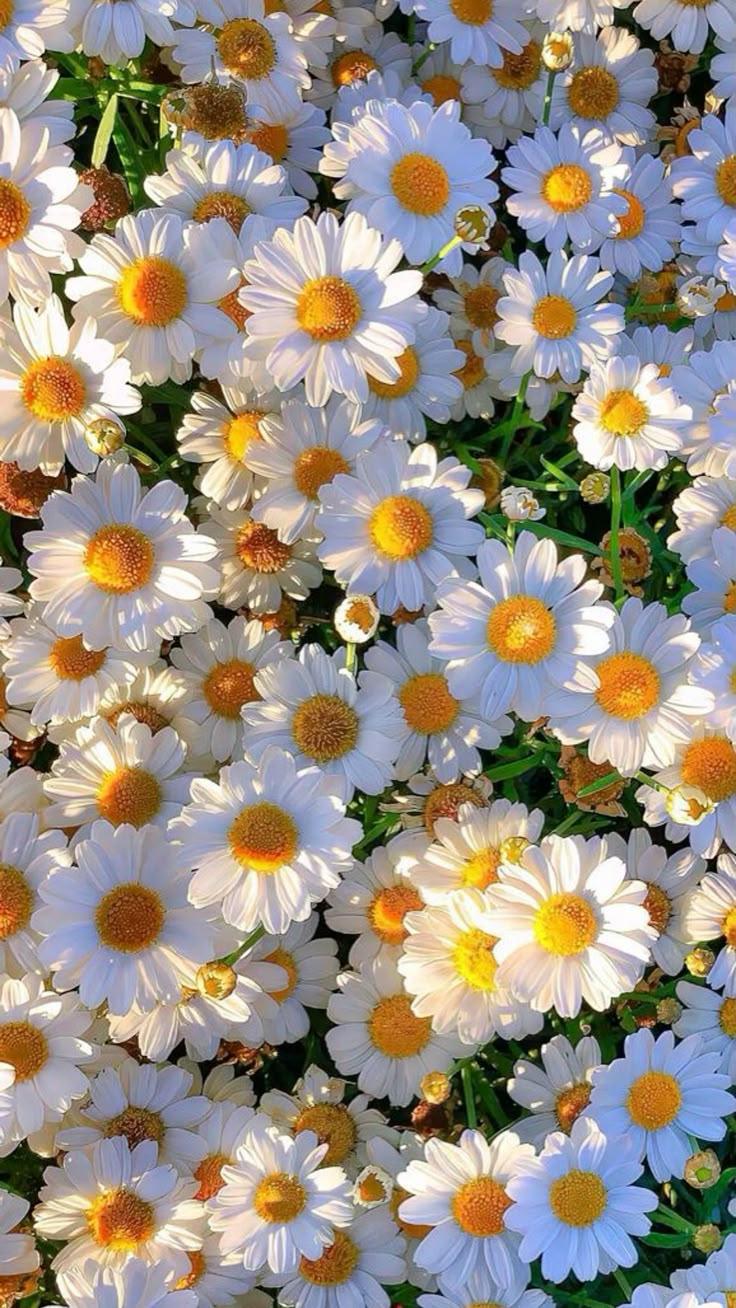 Whispers of Dawn Garden Bouquet