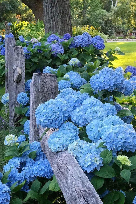 Enchanted Evening Floral Symphony